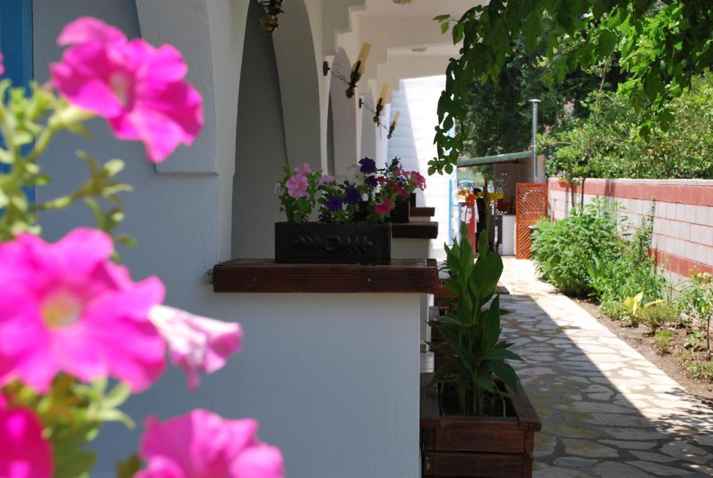 Myra Hotel Далян Екстериор снимка